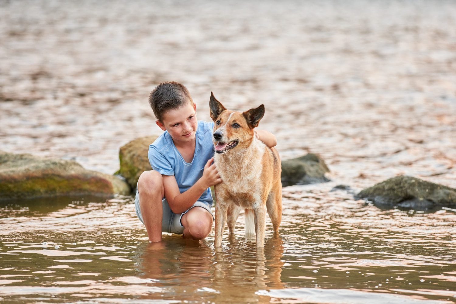 Outdoor family photo shoot with son and dog in river